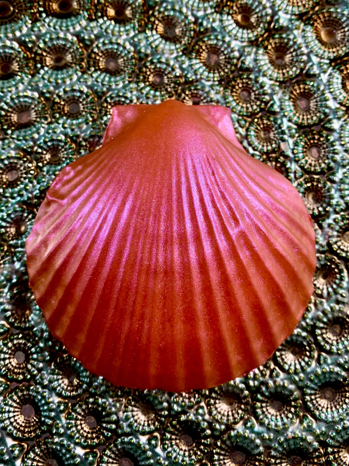 Seashell Soap