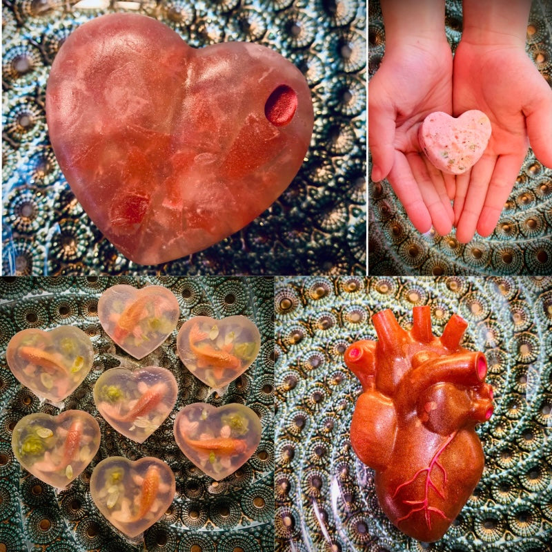 Anatomical Heart Bar Soap