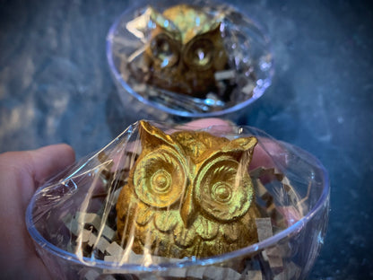 •Hoppy Owl Hand Soap