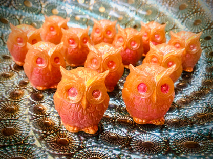 •Hoppy Owl Hand Soap