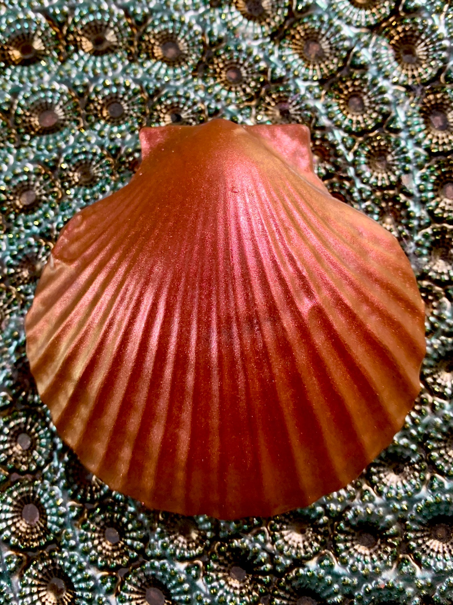 Seashell Soap