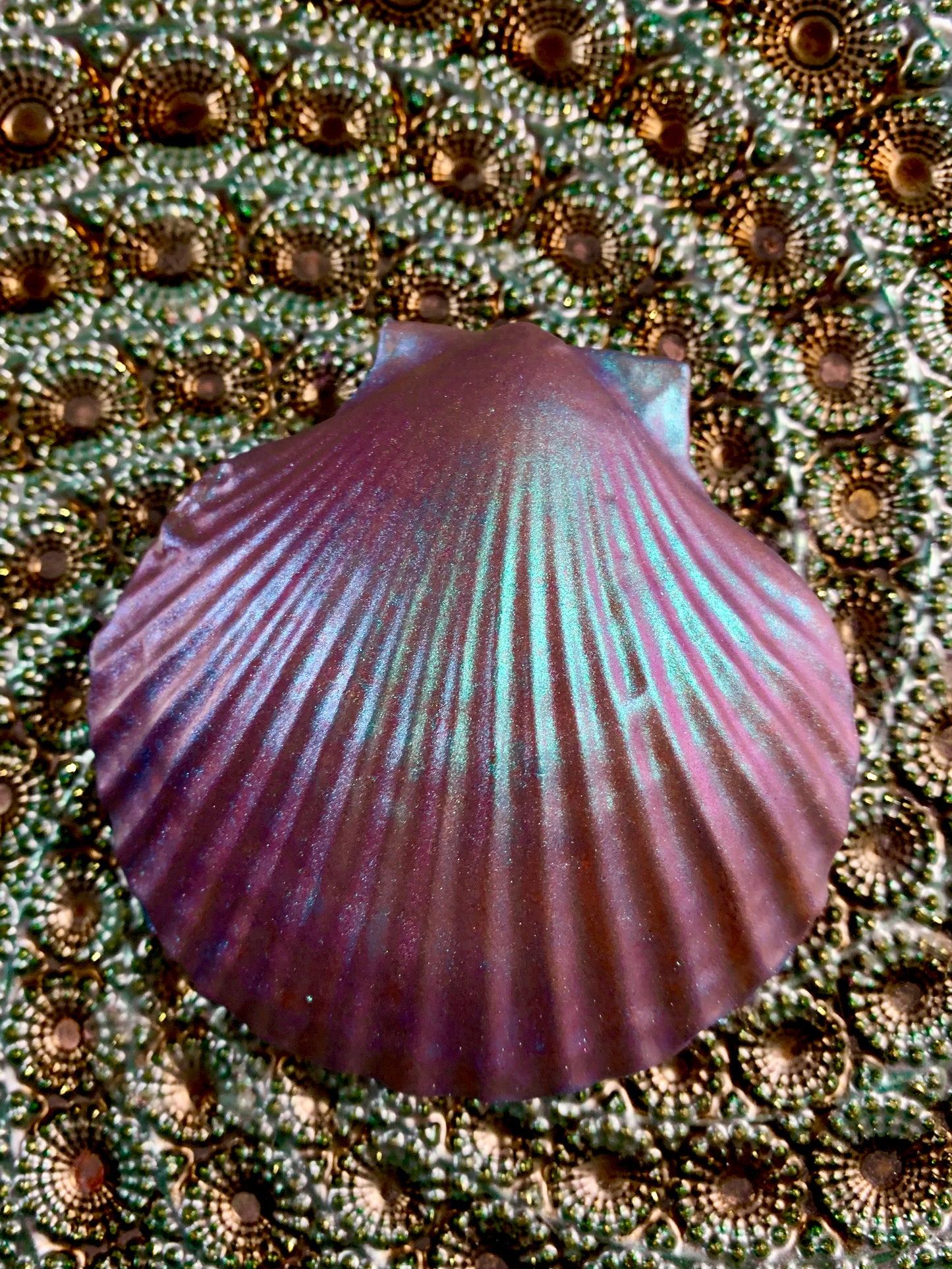 Seashell Soap