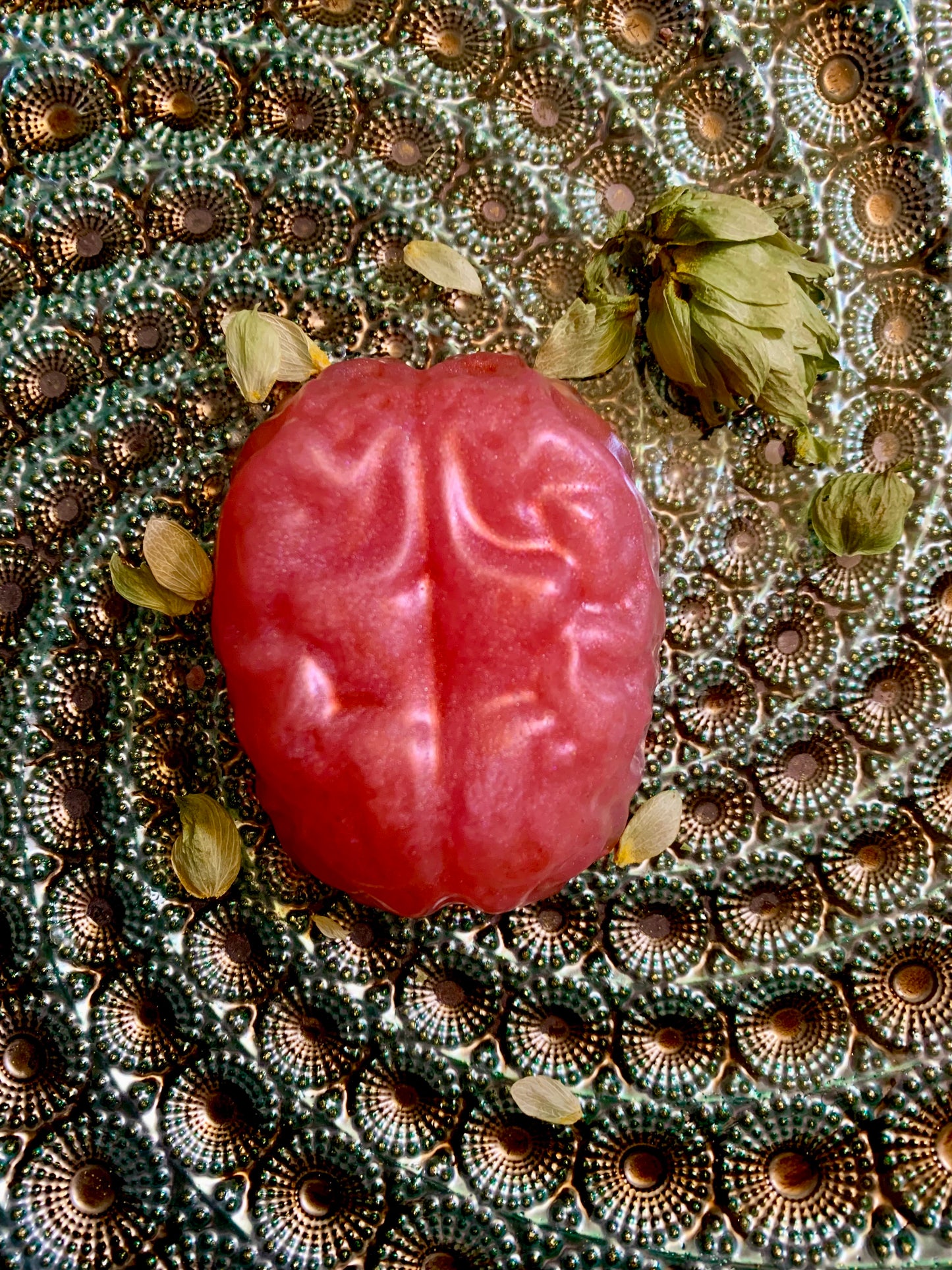 Brainwash Soap