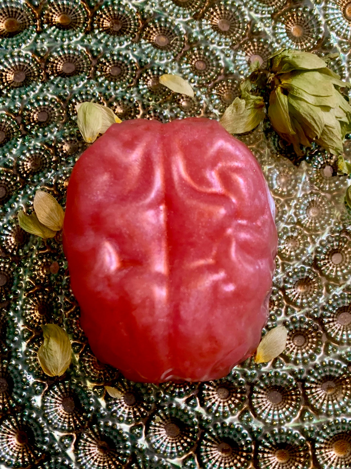 Brainwash Soap