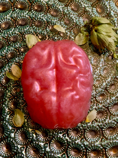 Brainwash Soap