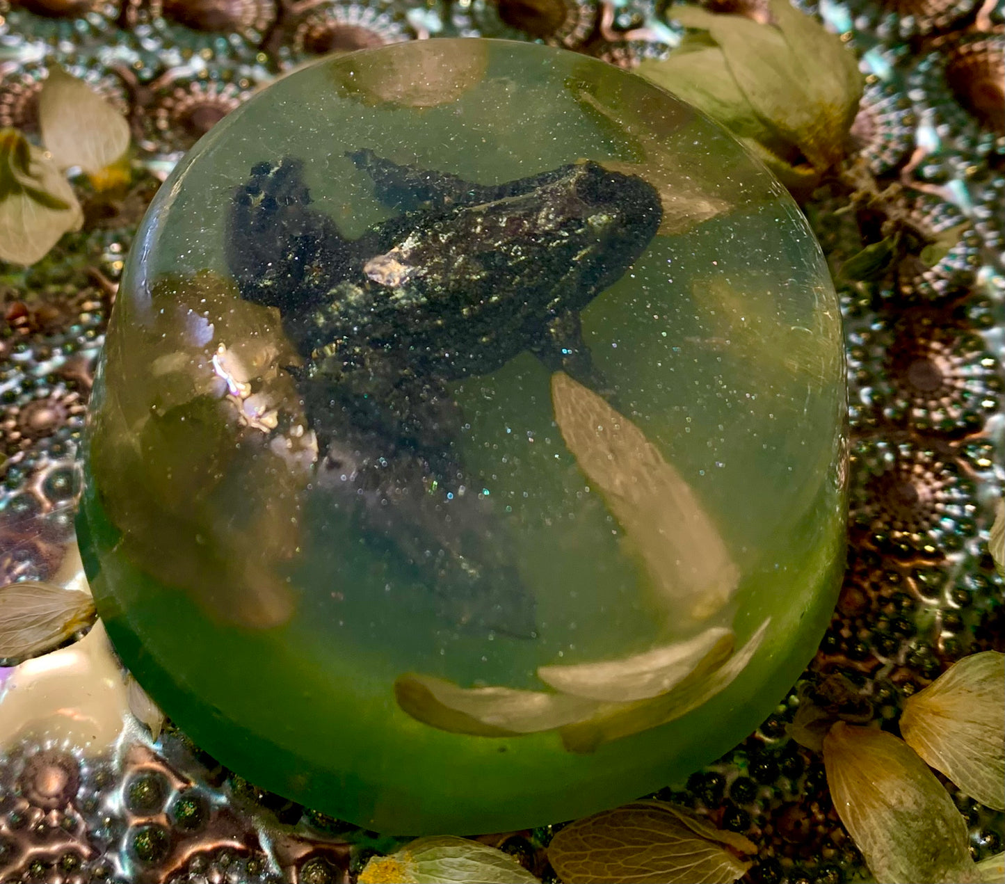 Hoppy Frog Soap