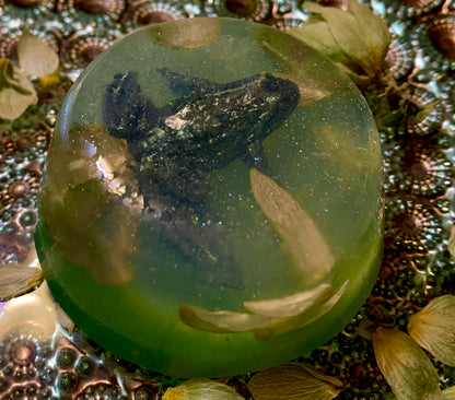Hoppy Frog Soap