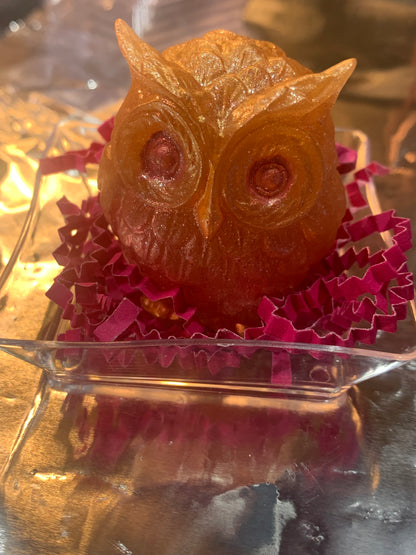 •Hoppy Owl Hand Soap